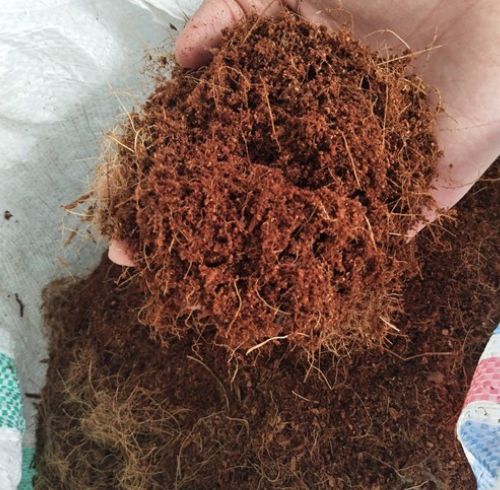 Olahan Kelapa