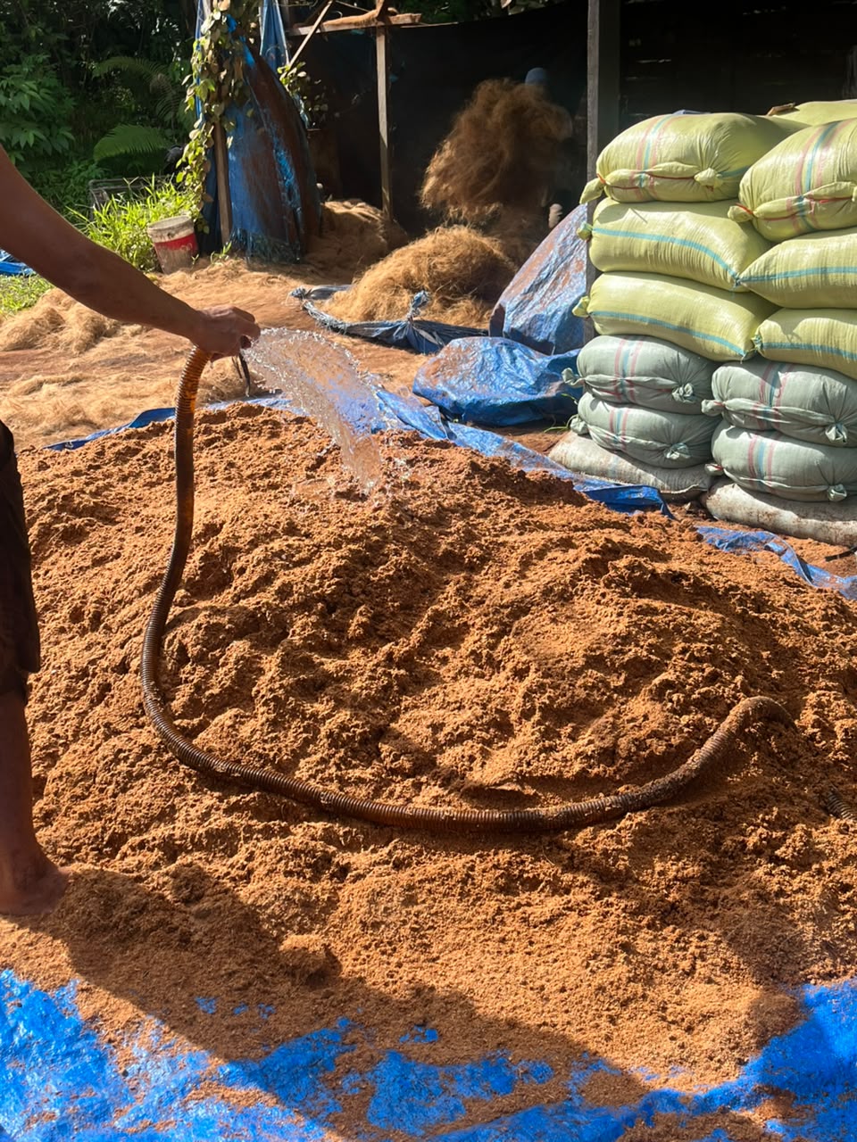 Pemanfaatan Limbah Kelapa Menjadi Media Tanam di PT. Rasiq Hanan Sejahtera, Desa Pakasai, Kecamatan Pariaman Timur